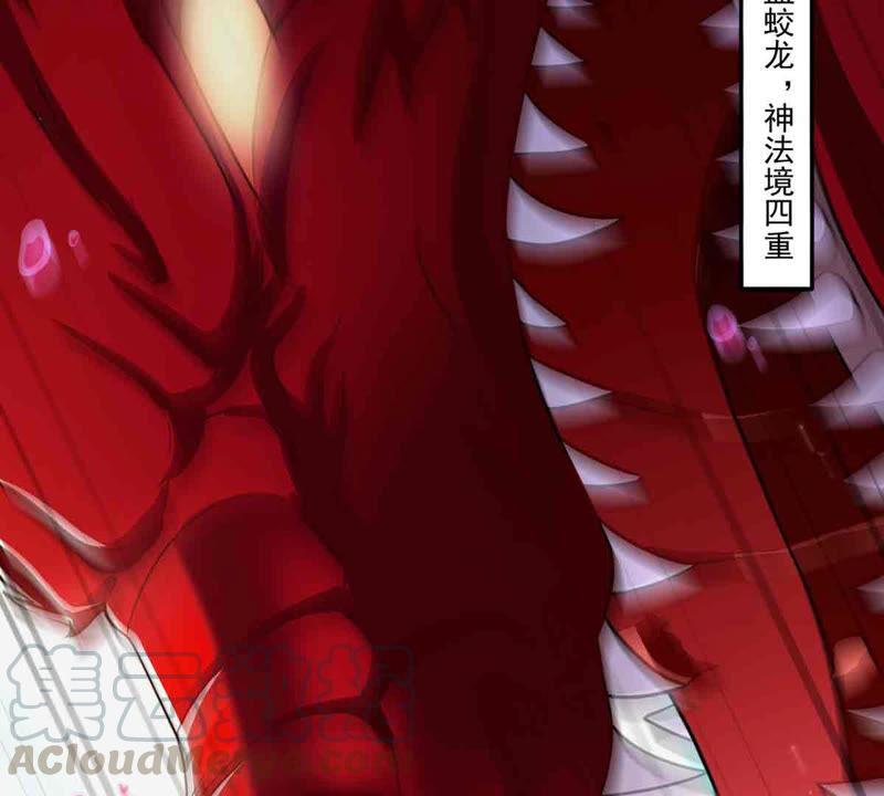 第172话 这就是血天池？-第238话