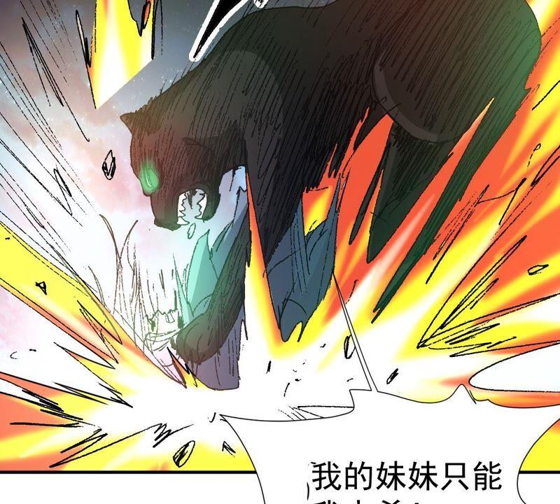 第218话 黑豹外援？(1/3)-第284话