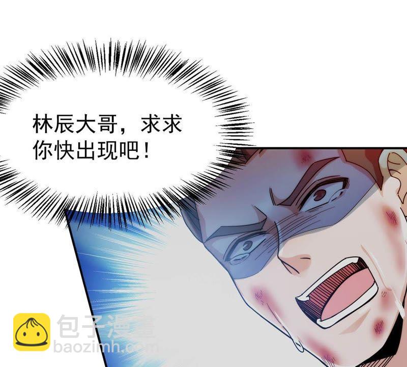 第88话 林辰你真的逃了嘛(1/2)-第154话