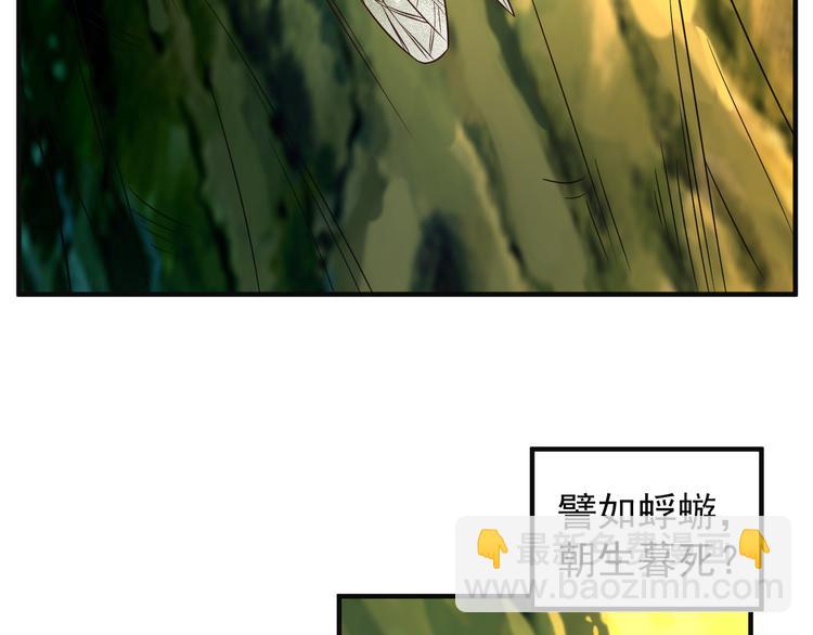 🍣吞下一个修仙世界 第80话 往事 第43页