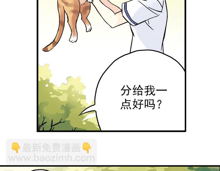 第2话 猫之念（二）(1/2)-第2话