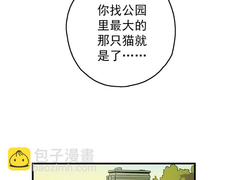 第2话 猫之念（二）(1/2)-第2话