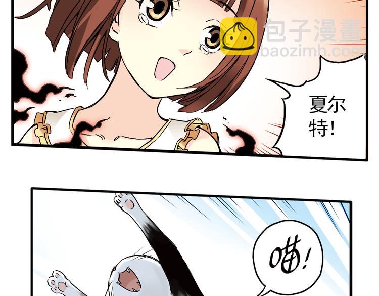 第4话 猫之念（四）(1/2)-第4话