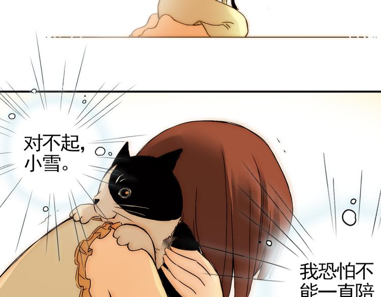第4话 猫之念（四）(1/2)-第4话