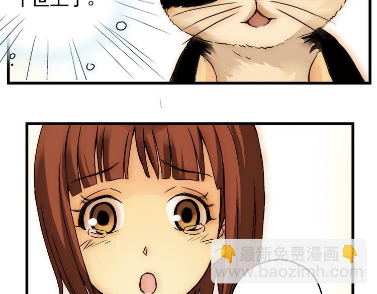 第4话 猫之念（四）(1/2)-第4话