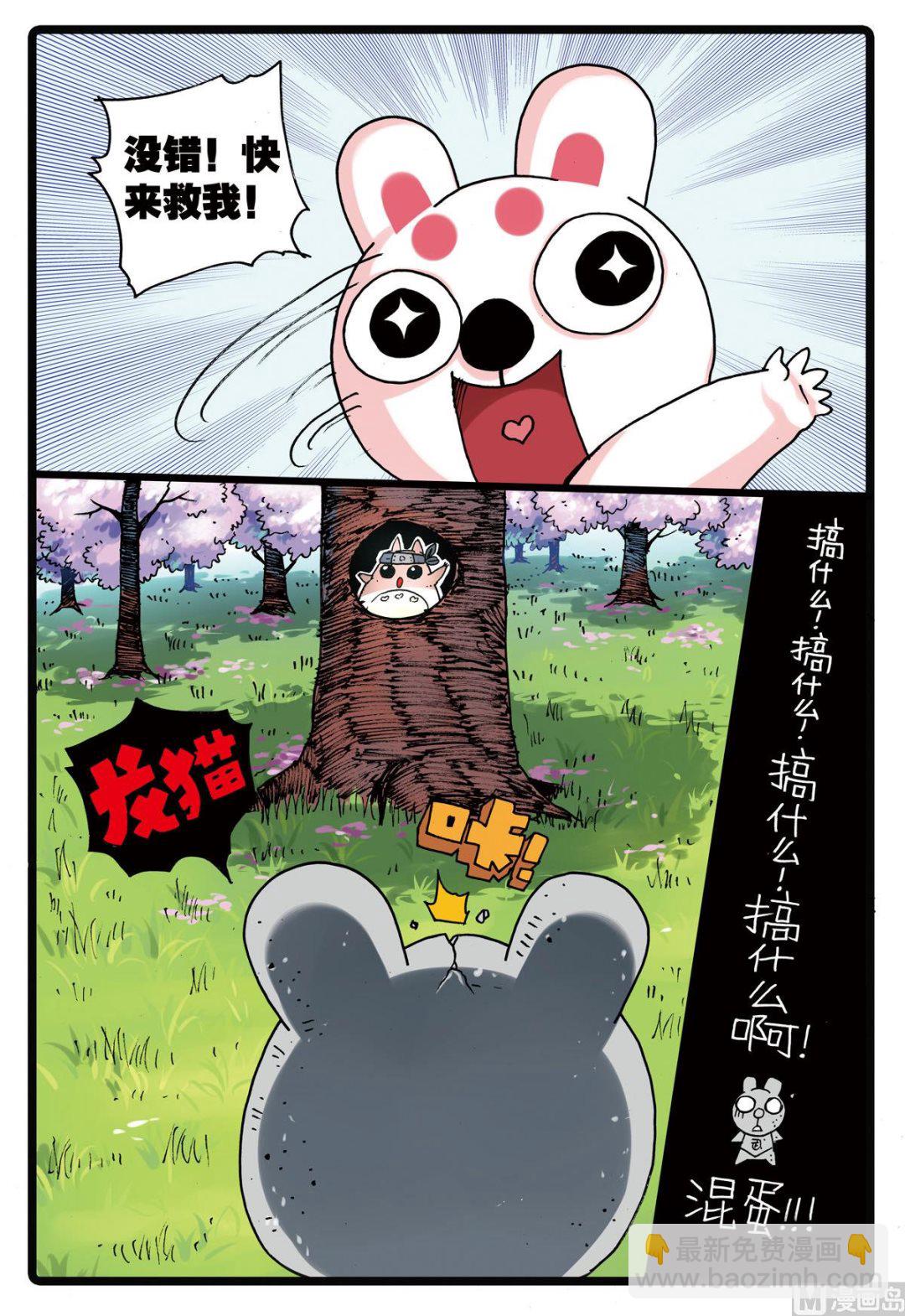 第156话 龙猫-第156话