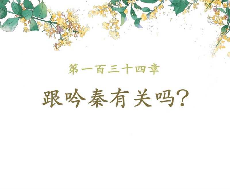 第134话 跟吟秦有关吗-第136话