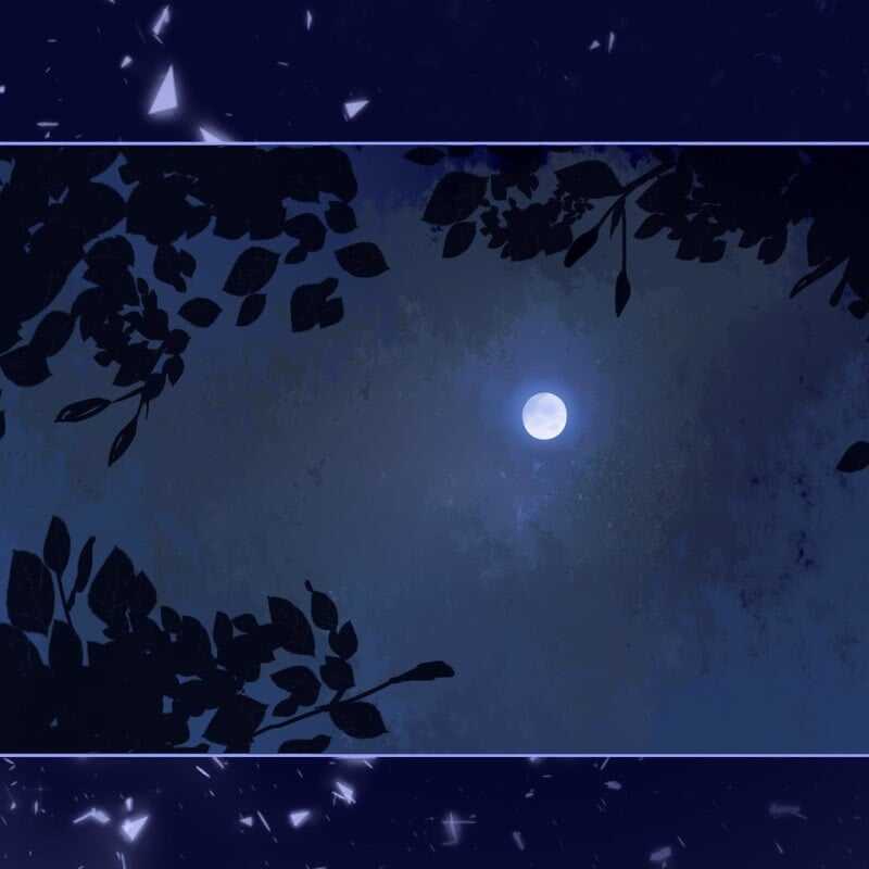 第148话 自己的夫人不能扔-第150话