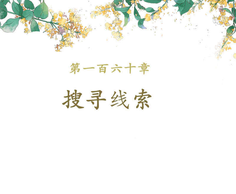 第160话 搜寻线索-第162话