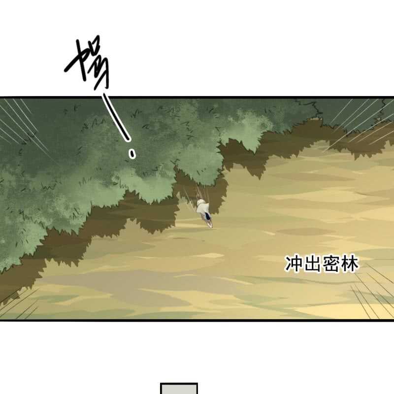 第164话 埋伏-第166话