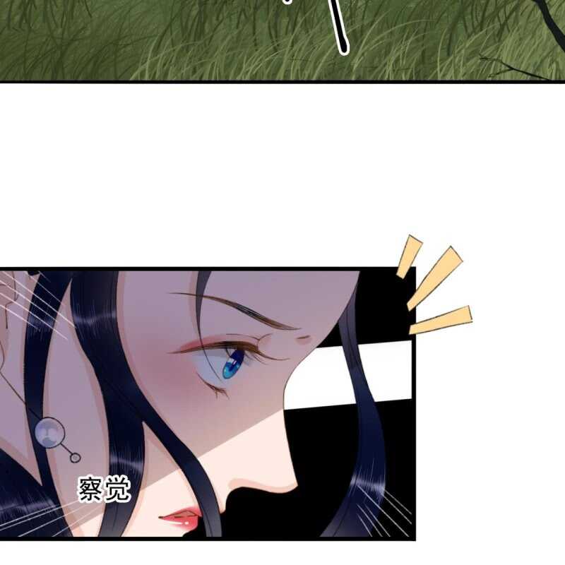 第164话 埋伏-第166话