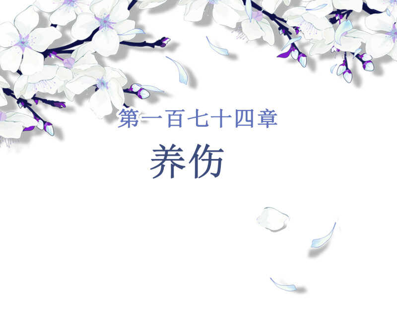 第174话 养伤(1/2)-第178话