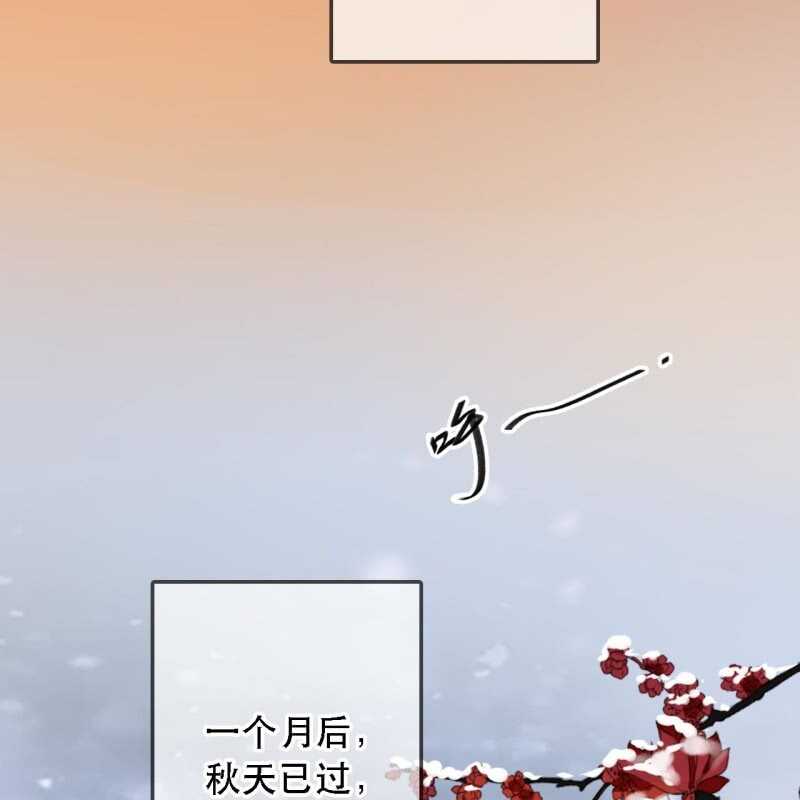 第174话 养伤(1/2)-第178话
