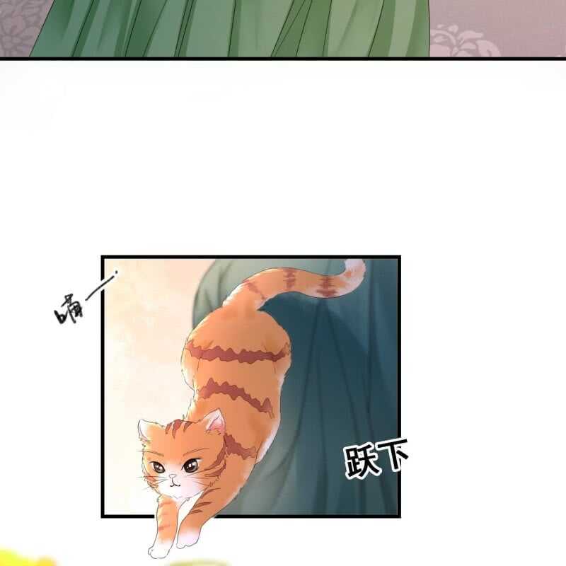 第66话-第68话
