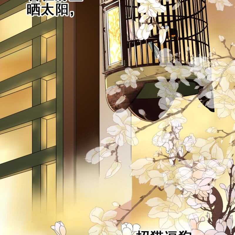 第66话-第68话