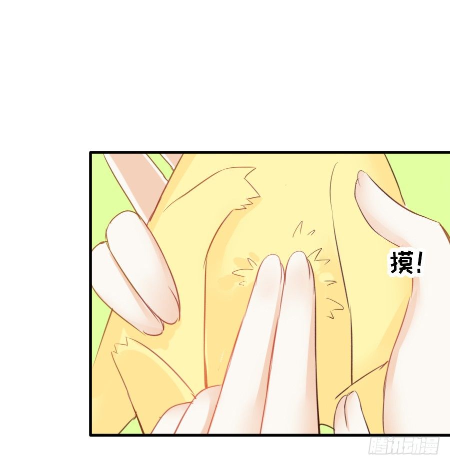 全果变身真是太糟心！(1/2)-第28话