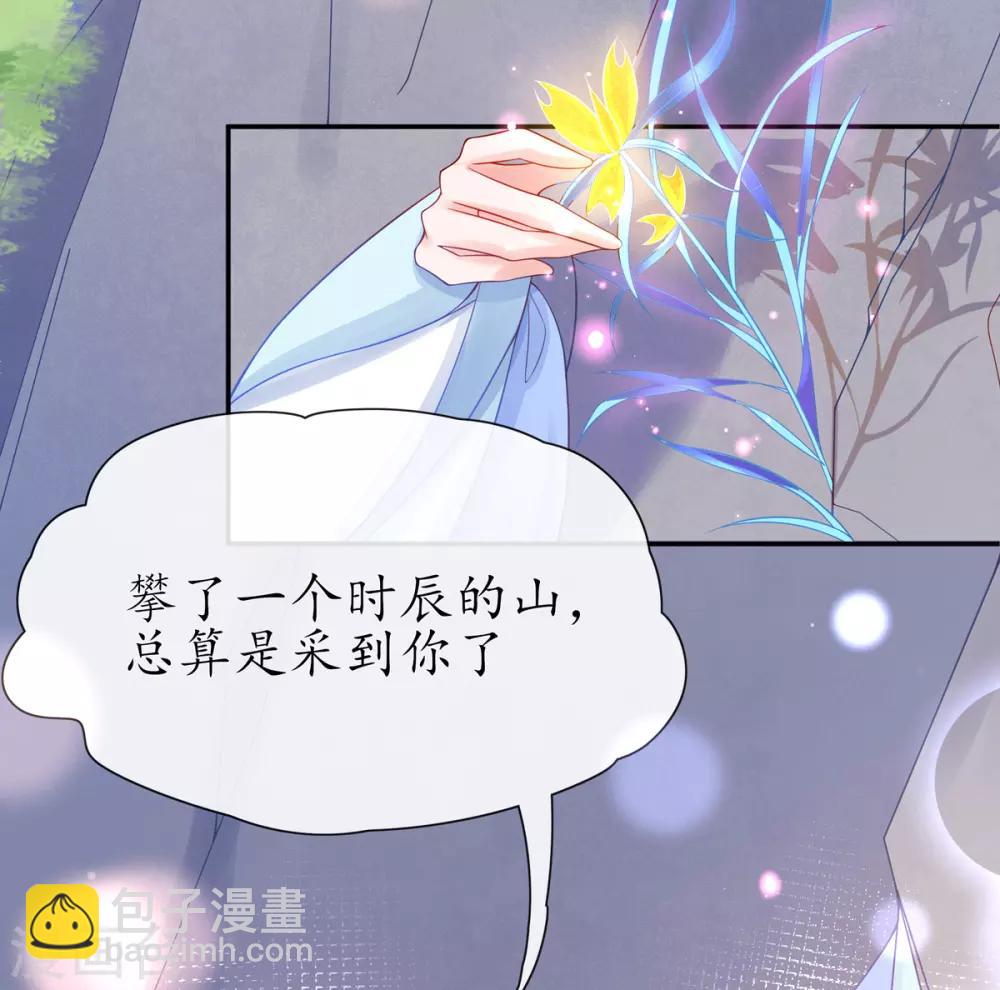 🍘王妃的修仙指南 第23话 糟糕，保护绳被割断了 第29页