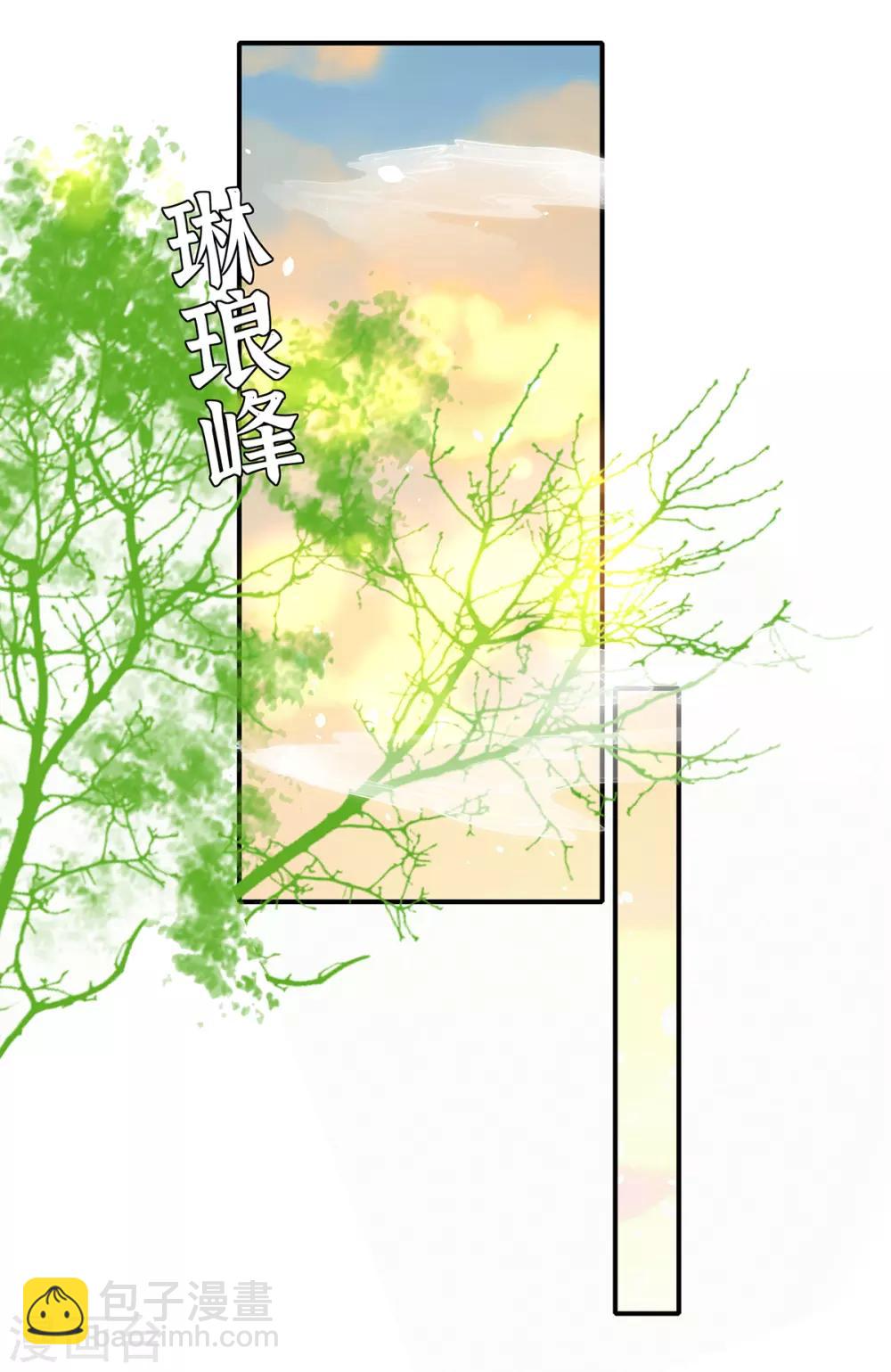 🍘王妃的修仙指南 第62话 嫁祸林晴雨 第13页