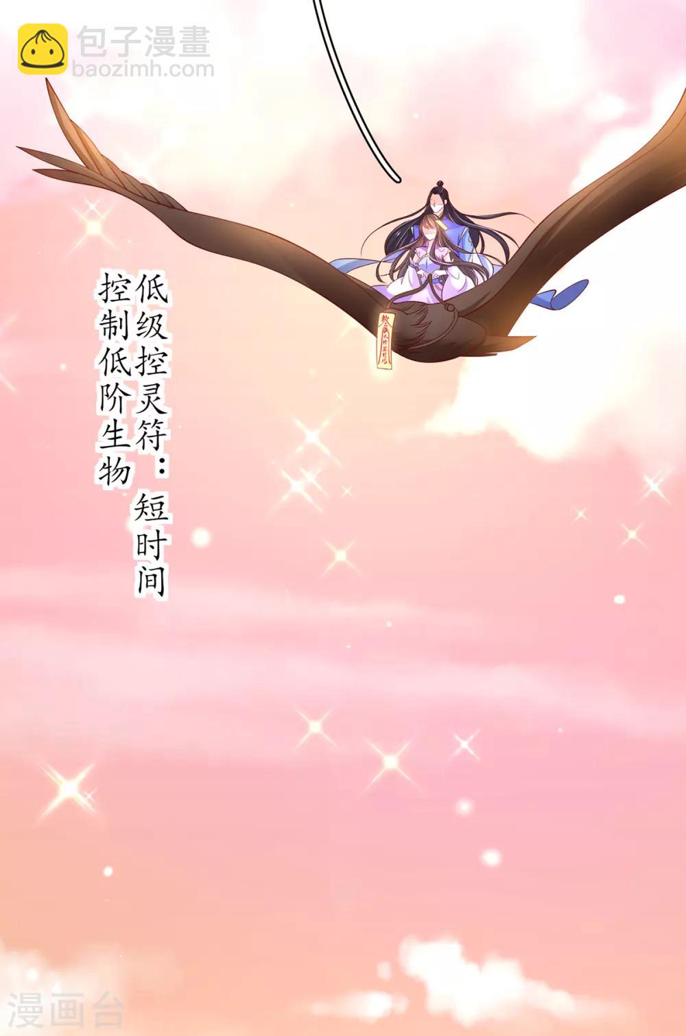 🍘王妃的修仙指南 第62话 嫁祸林晴雨 第17页