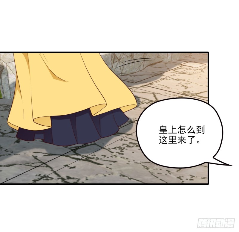 母后的秘密花园-第48话