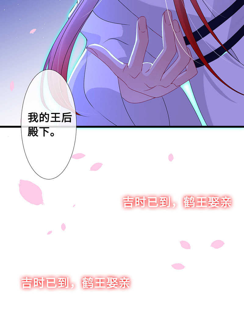 鹤王迎亲-第98话