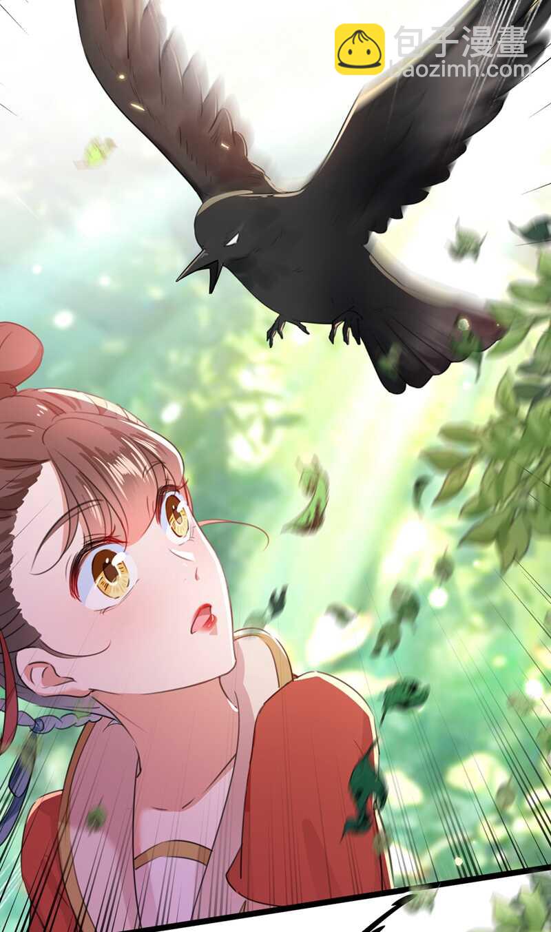 🍘王爷不能撩 第206话 鸭子浮绿水 第13页
