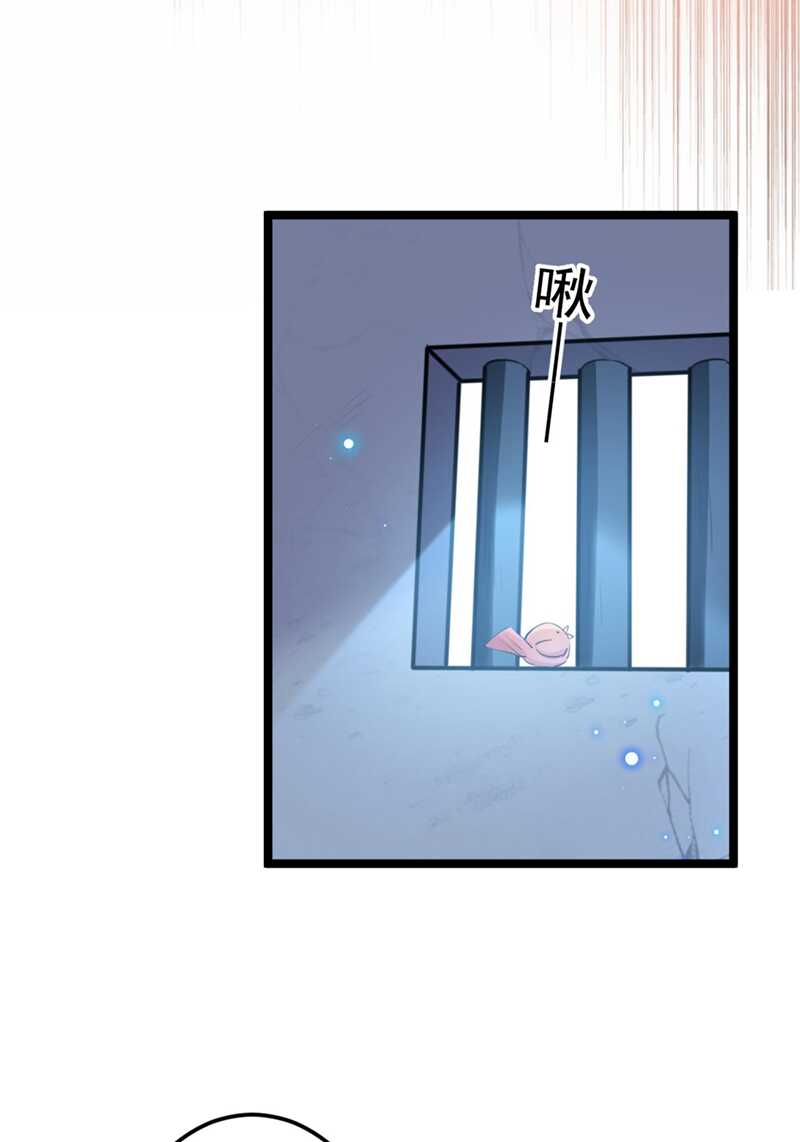 🍘王爷不能撩 第212话 西厥三皇子闪亮登场 第10页