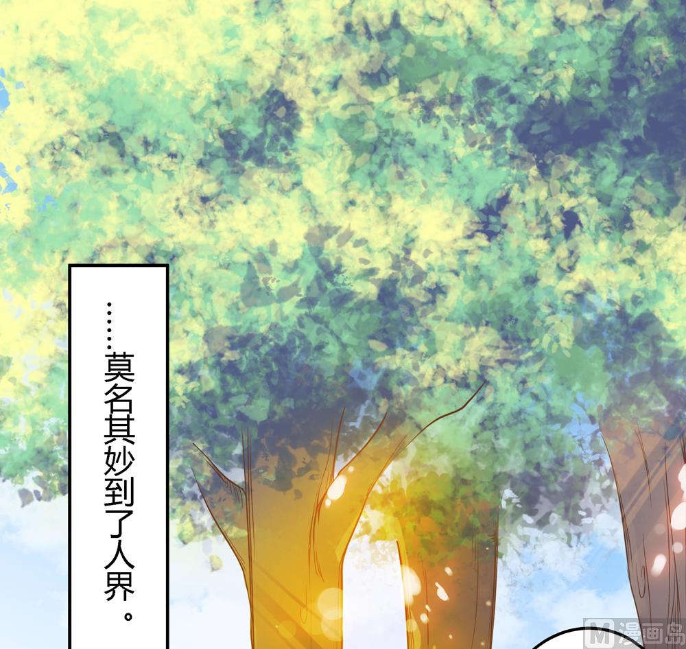 第6话 终于找到你了(1/2)-第6话