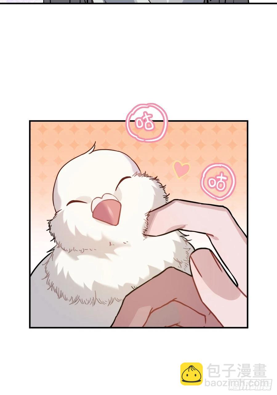 53.鸽子和往事(1/2)-第56话