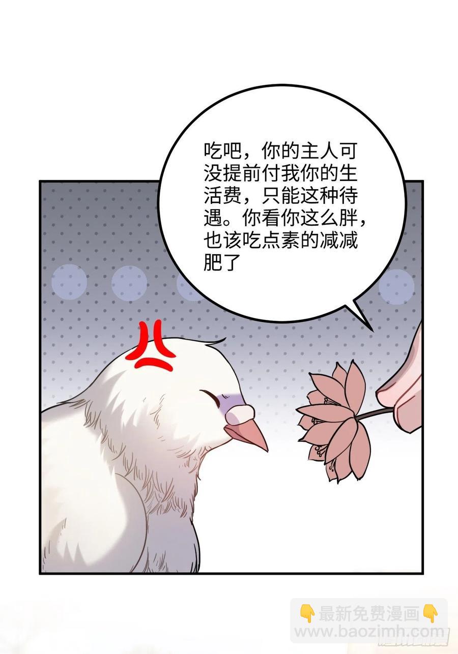 53.鸽子和往事(1/2)-第56话