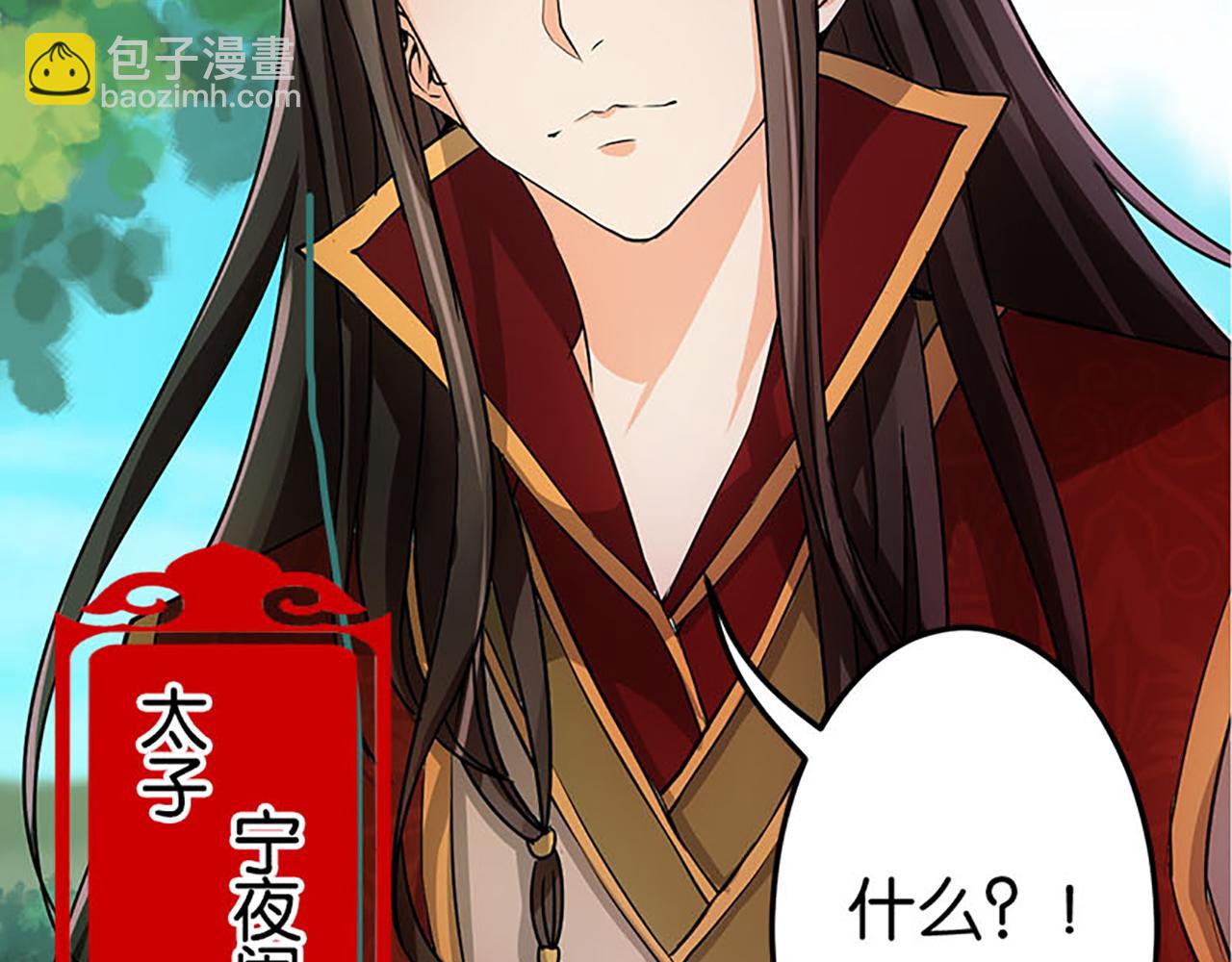 🍘王爷你好贱 第24话 太子殿下宁夜阑 第29页