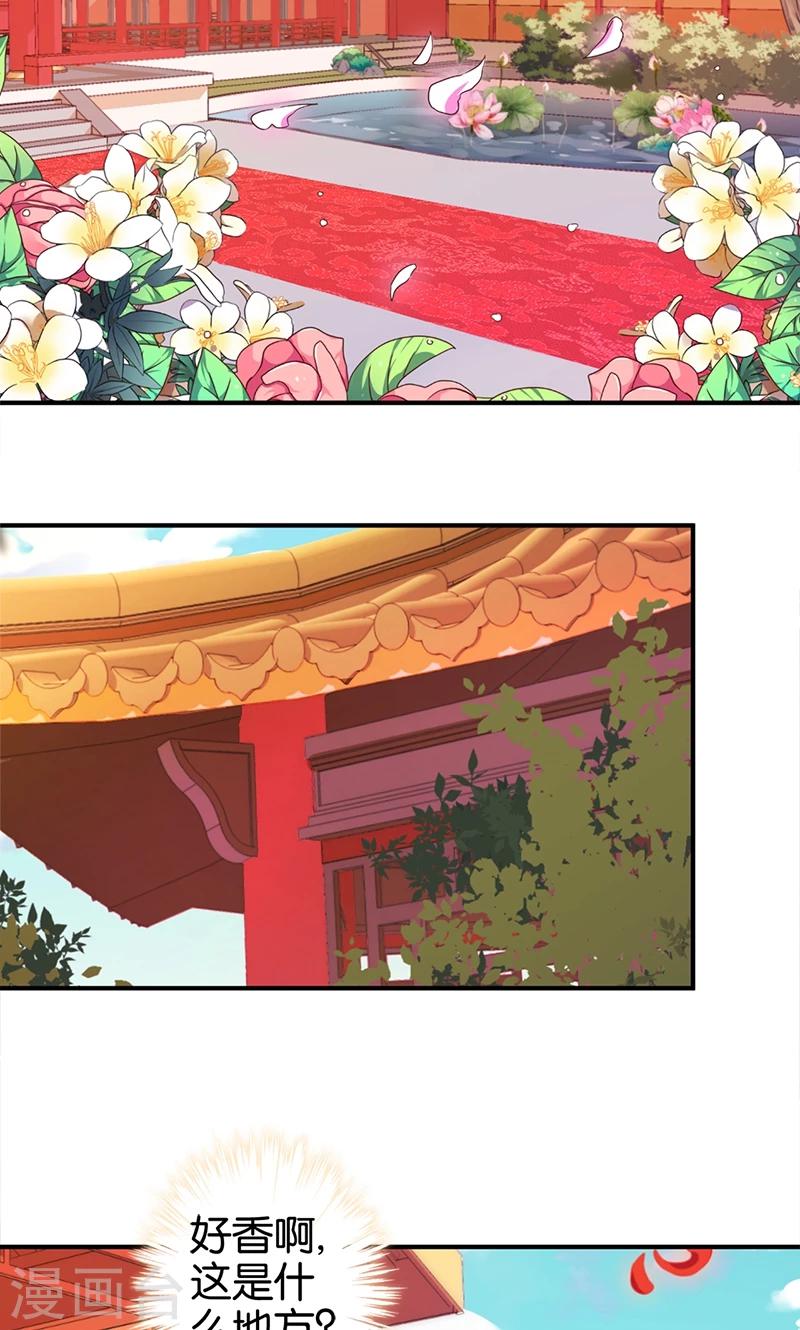 🍘王爷你好贱 第294话 第14页