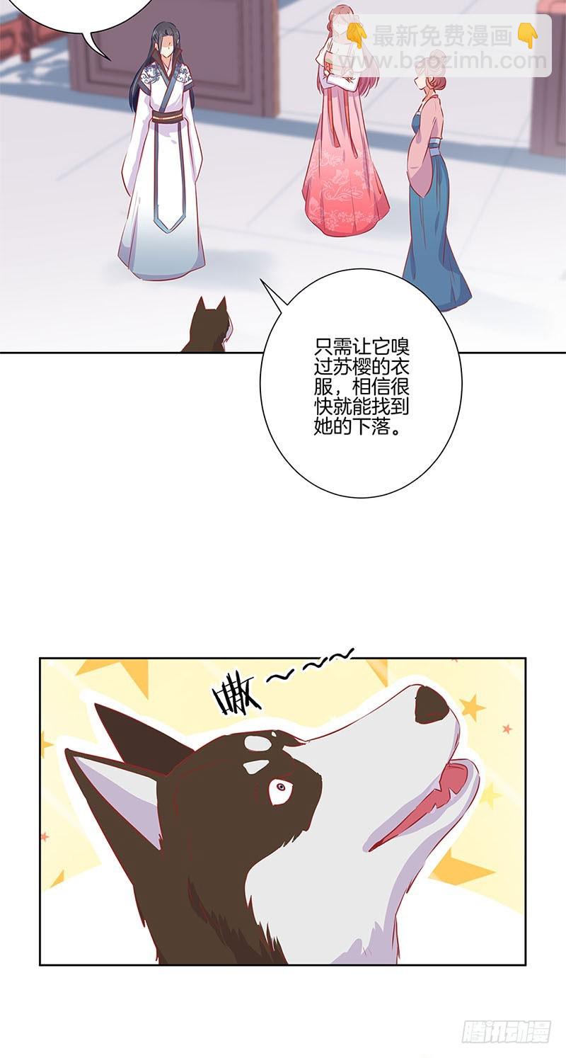 第66话 寻找苏樱-第70话