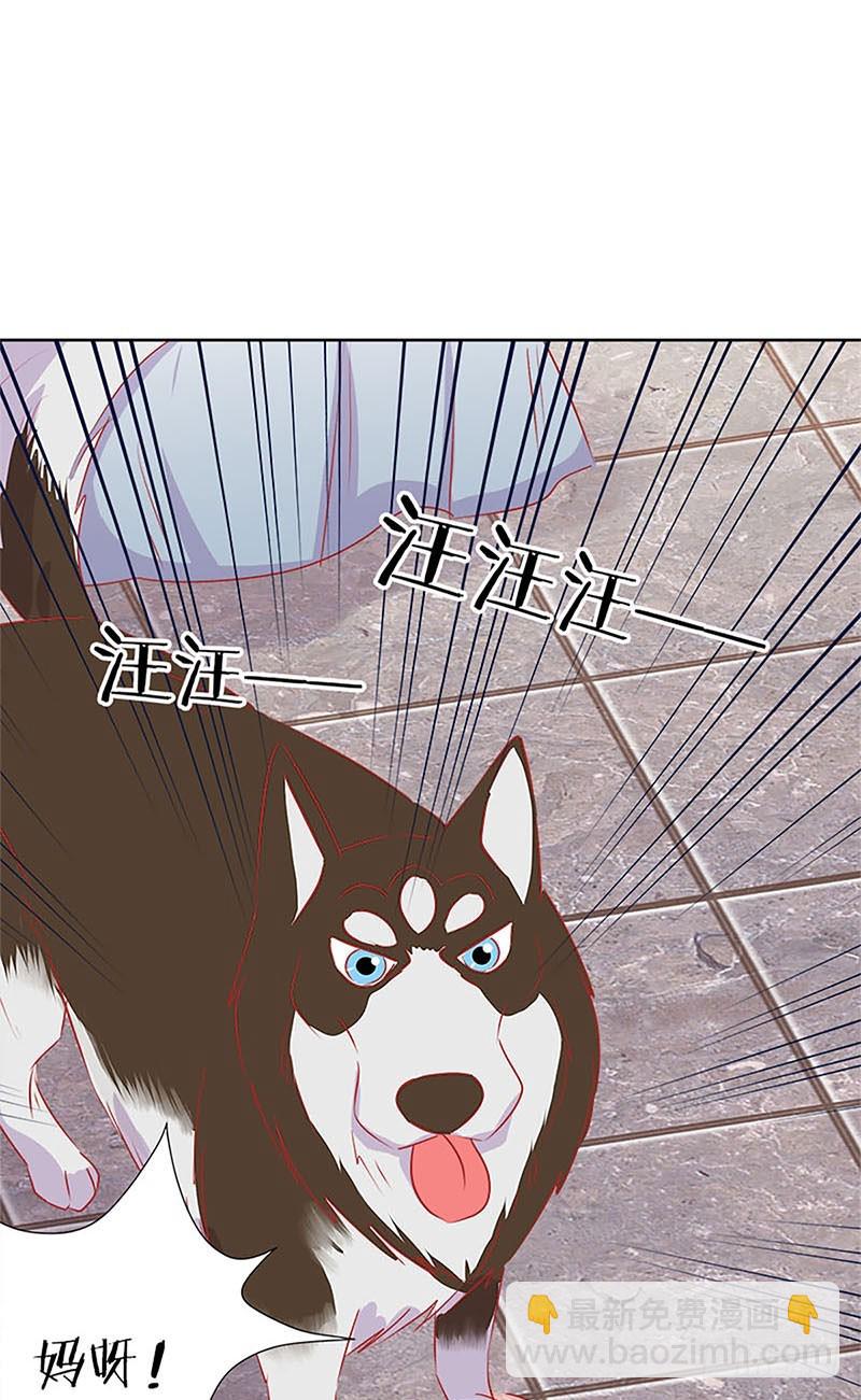 第66话 寻找苏樱-第70话