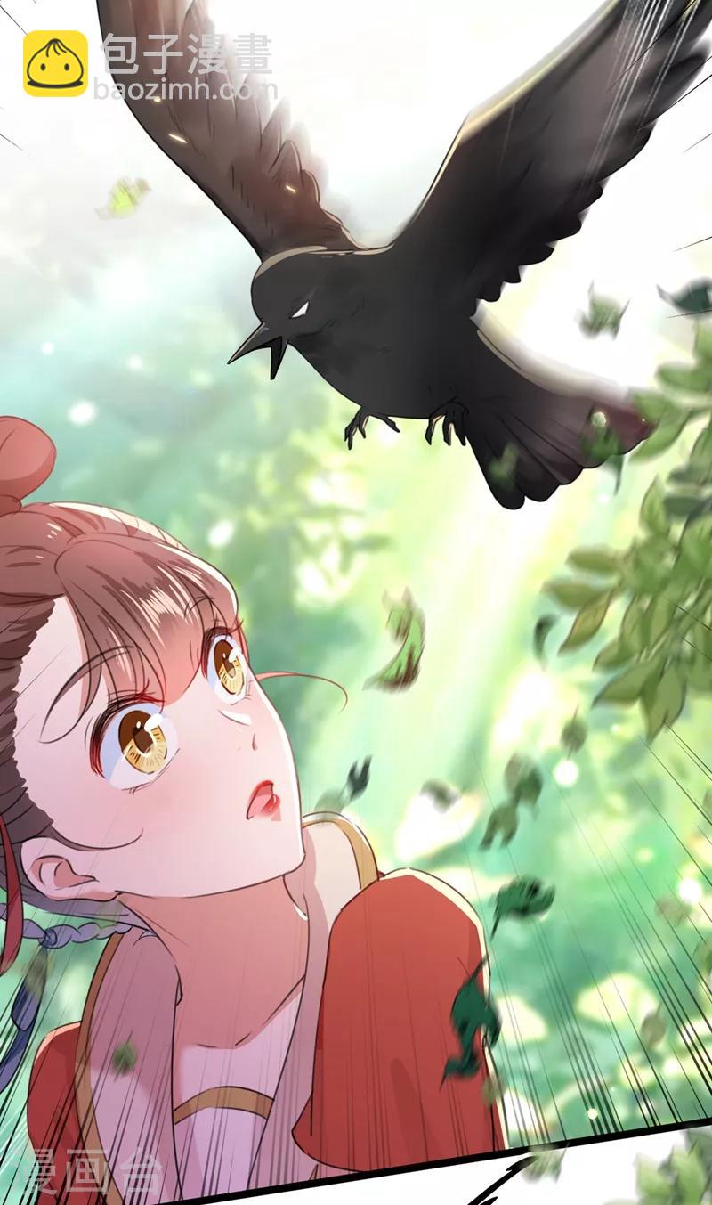 🍘王爷你好帅 第206话 鸭子浮绿水 第13页