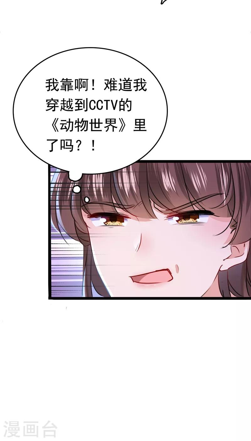 🍘王爷你好帅 第219话 我走了，保重！ 第28页