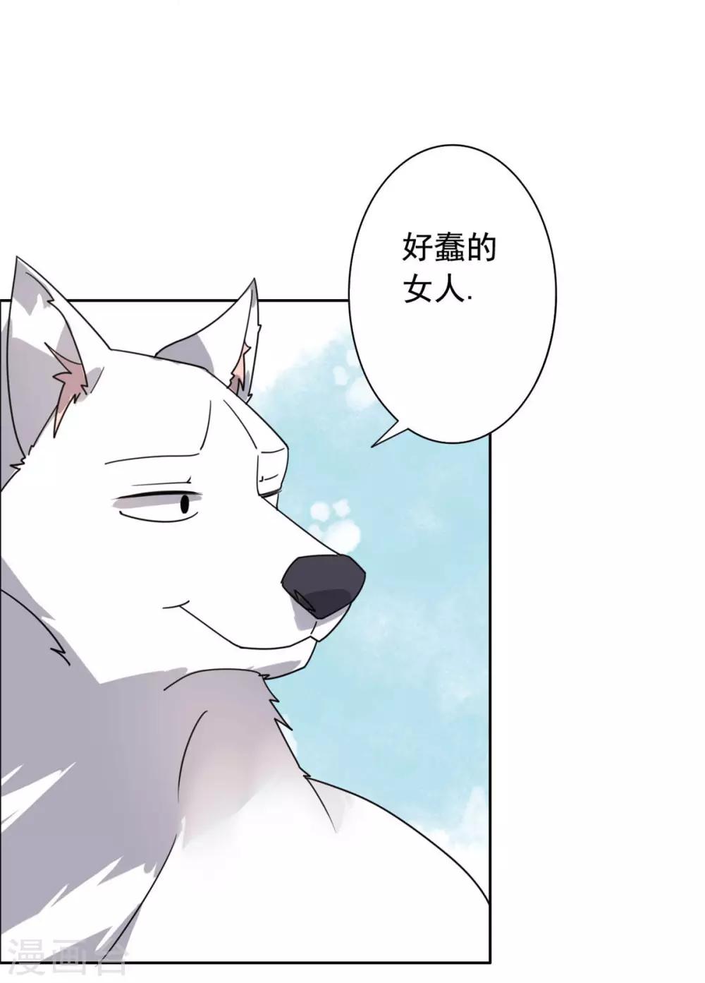 第23话 被狗狗嫌弃了-第24话