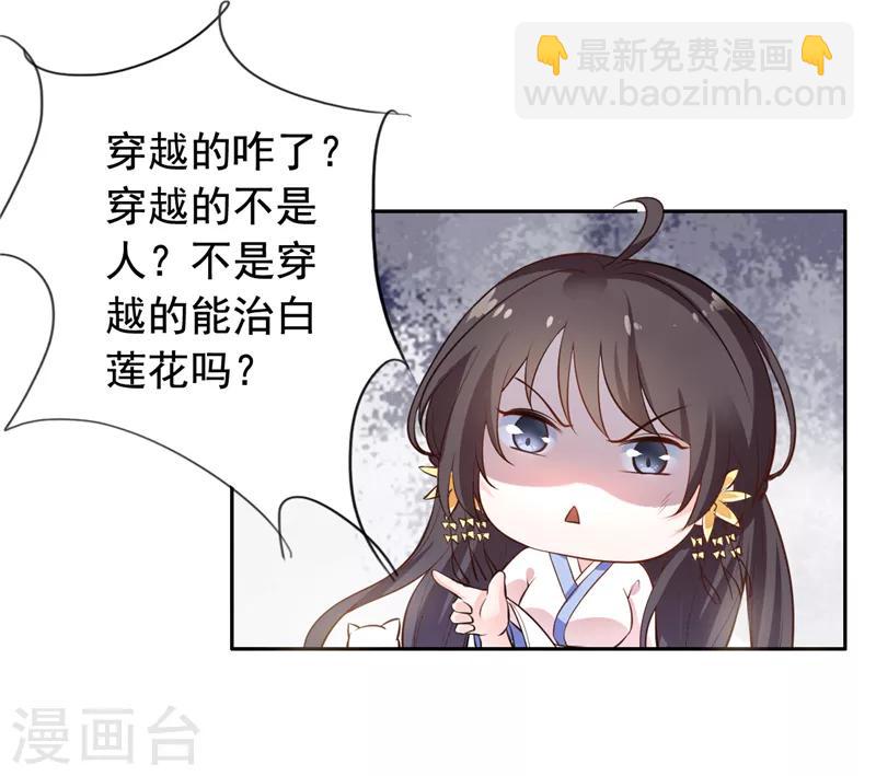 第3话 猫咪欺负亲主啊！-第4话