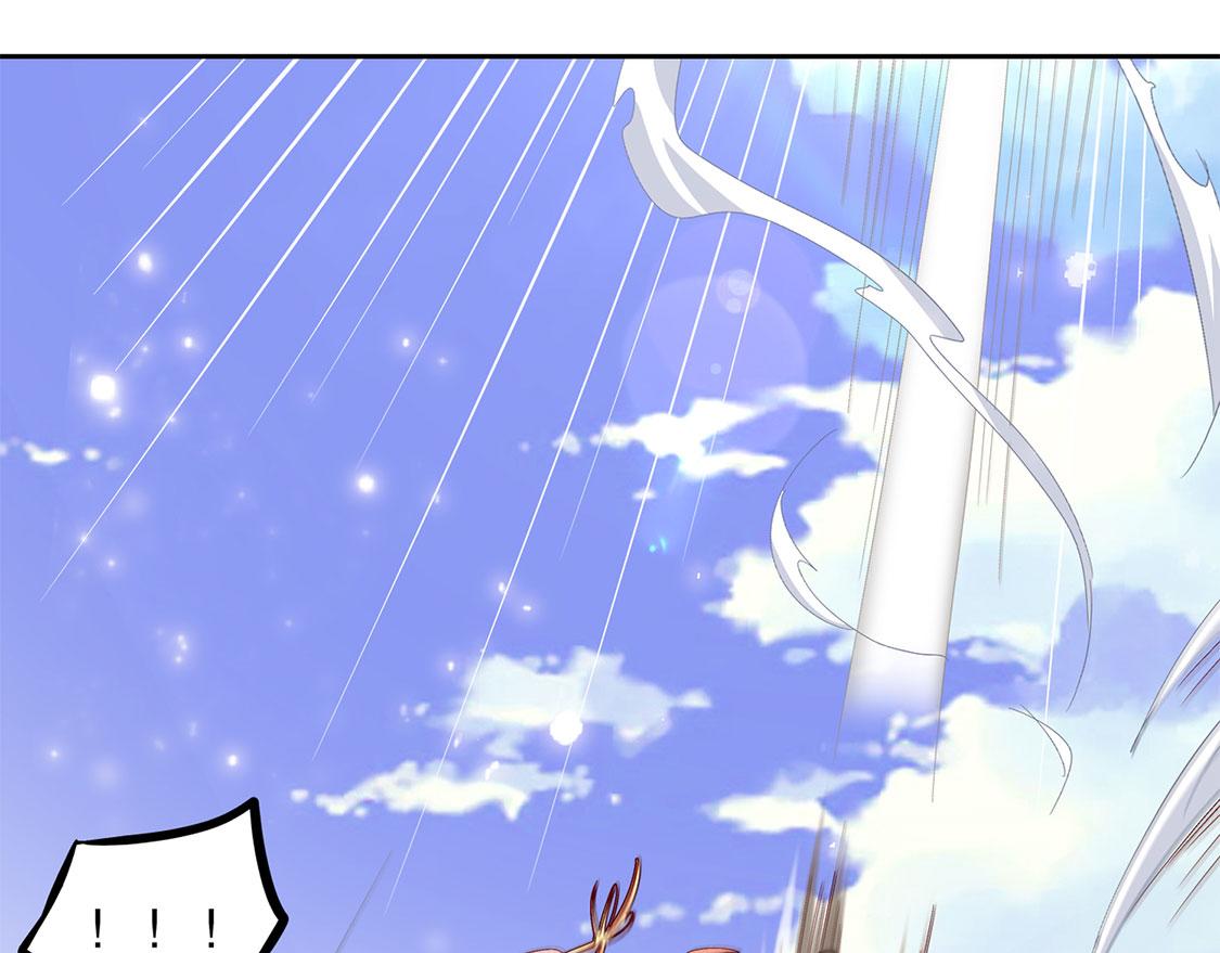 第10话 狼王(1/2)-第10话