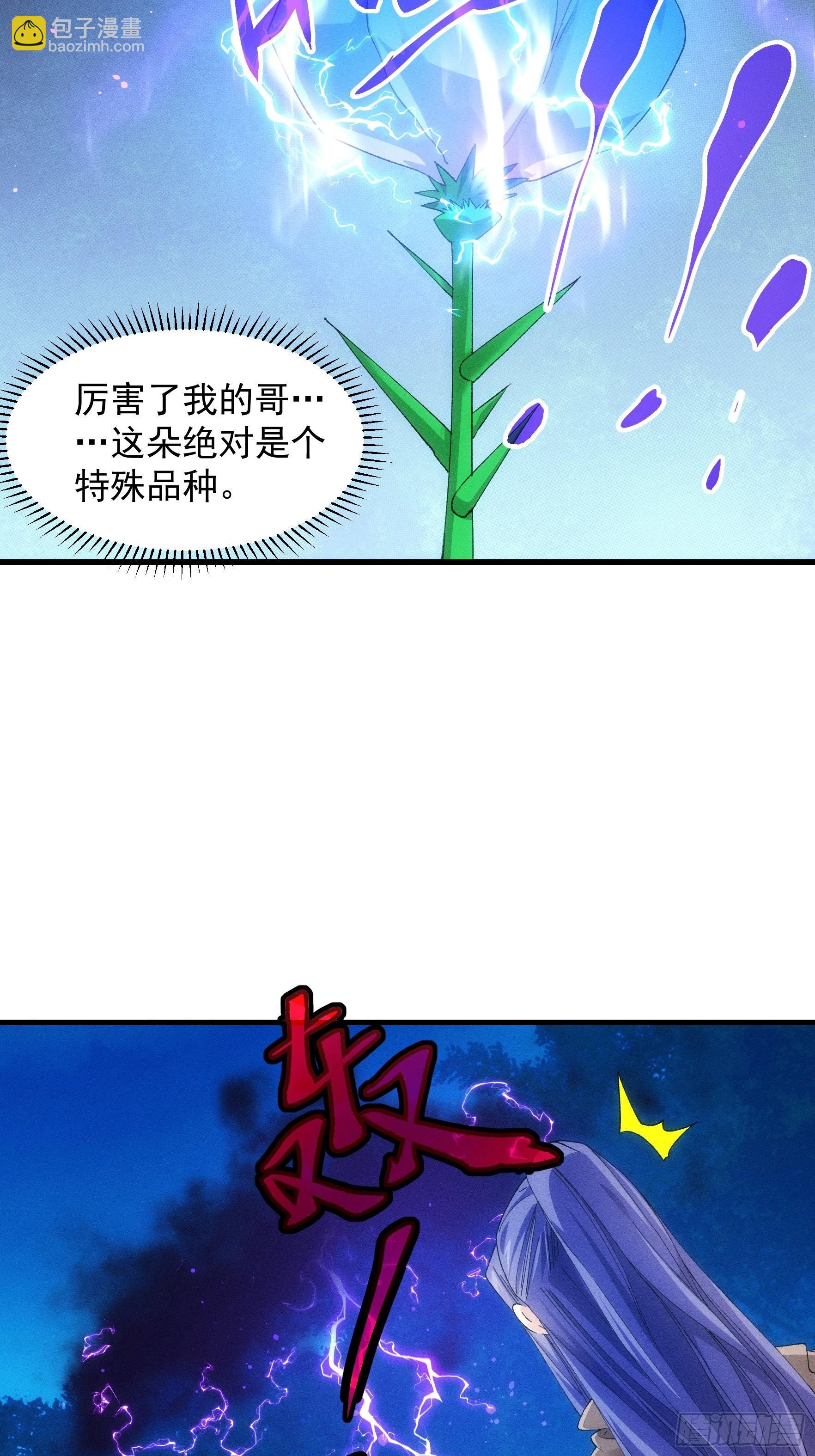 第45话 雷灵花-第46话