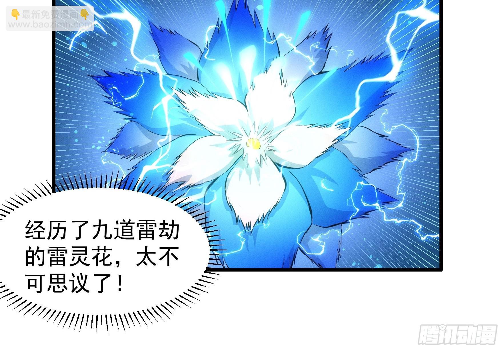 第45话 雷灵花-第46话