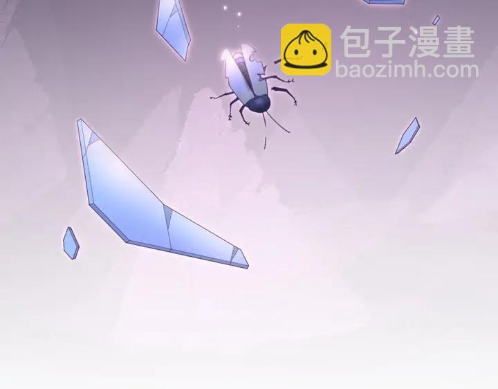 第72话 你受伤我会心疼(1/3)-第78话