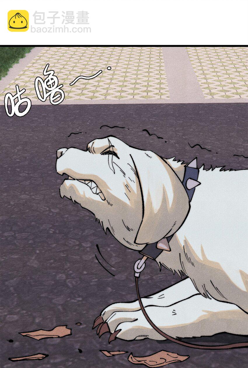109 认知偏差(1/2)-第110话