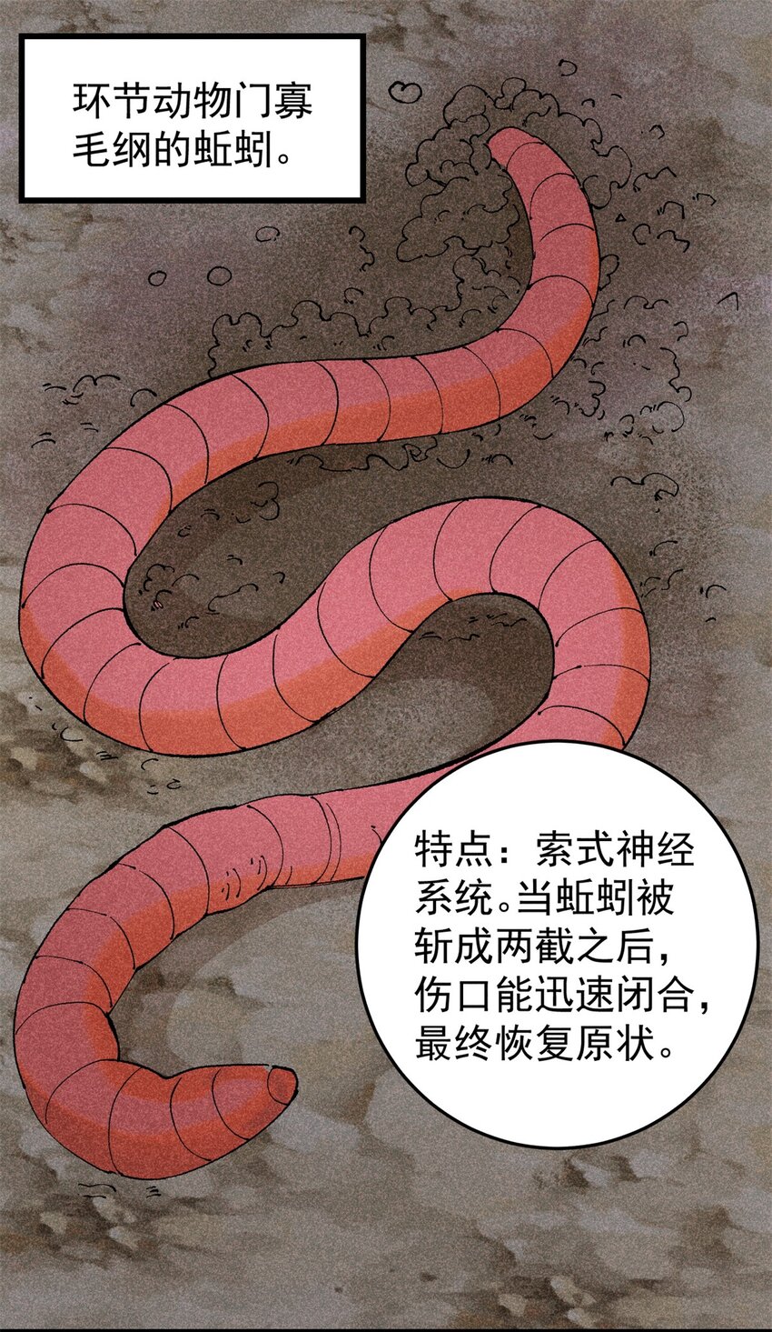 93 化身苏珊大妈-第94话