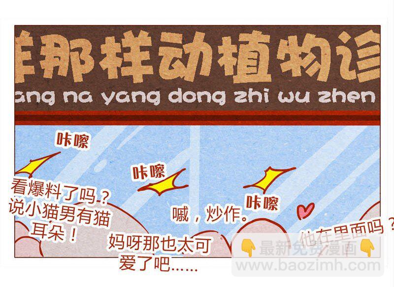 139话 铁打的粉丝流水的网红～-第140话