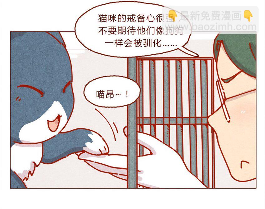171话 别人家的喵！-第172话