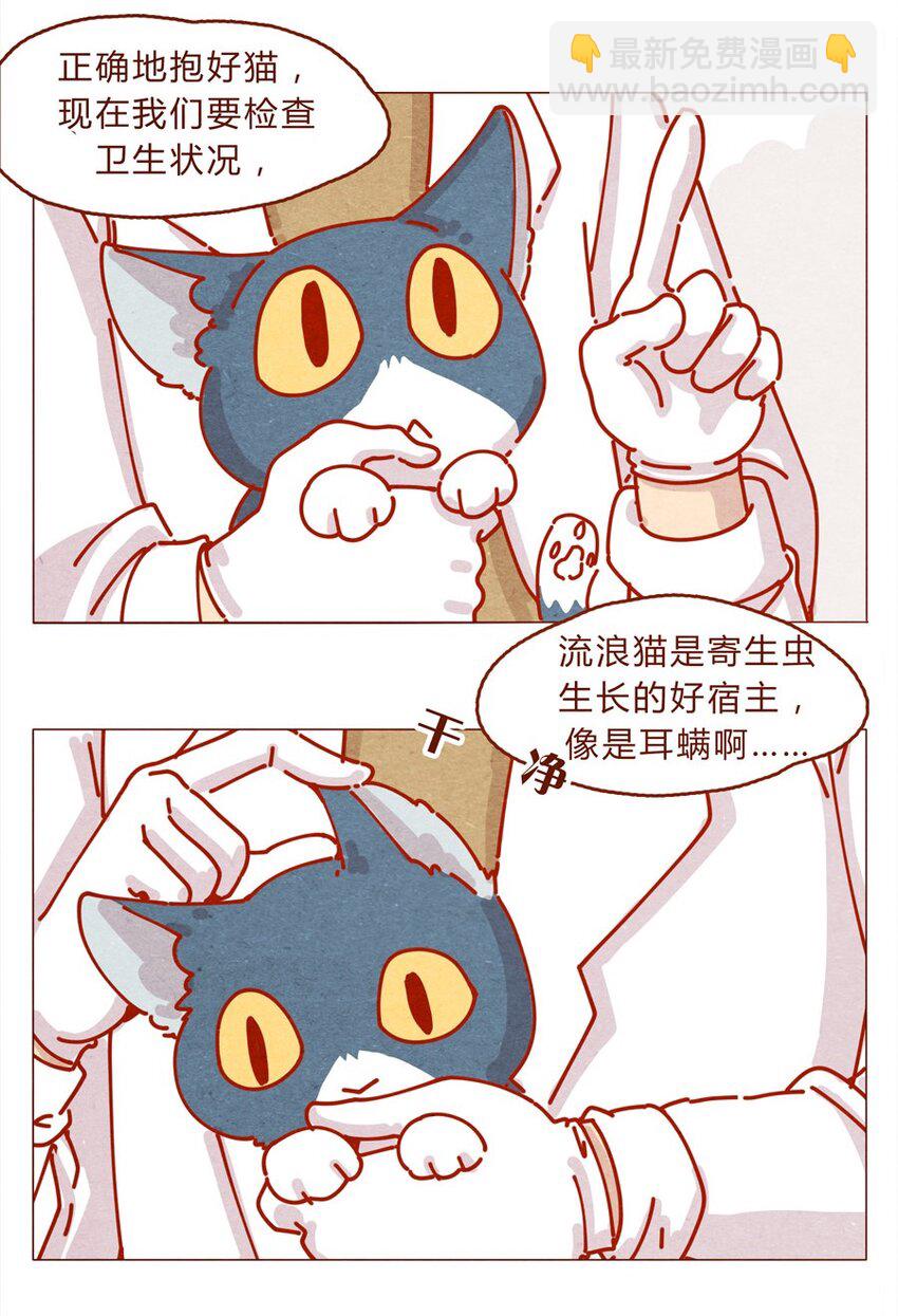 171话 别人家的喵！-第172话