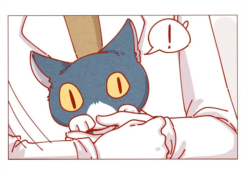 171话 别人家的喵！-第172话