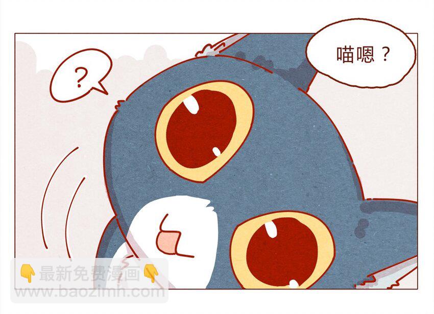 171话 别人家的喵！-第172话