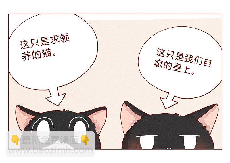 201话 领养比买难！-第202话